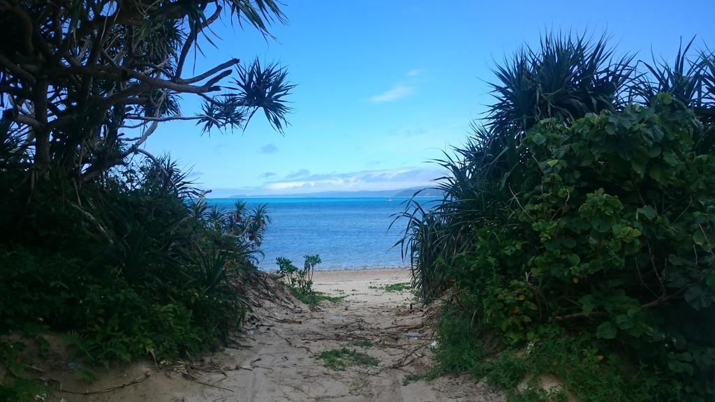 Appartamento Ocean Front Sumuide Nago Esterno foto